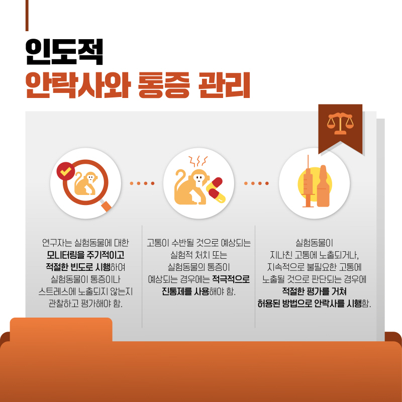 해당파일이미지