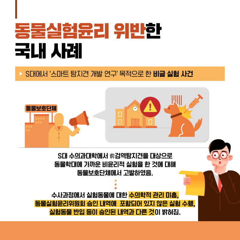 해당파일이미지