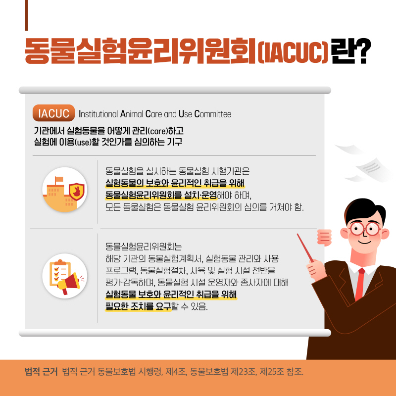 해당파일이미지