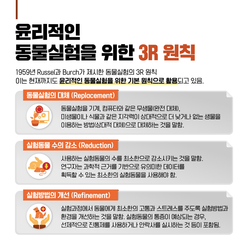해당파일이미지