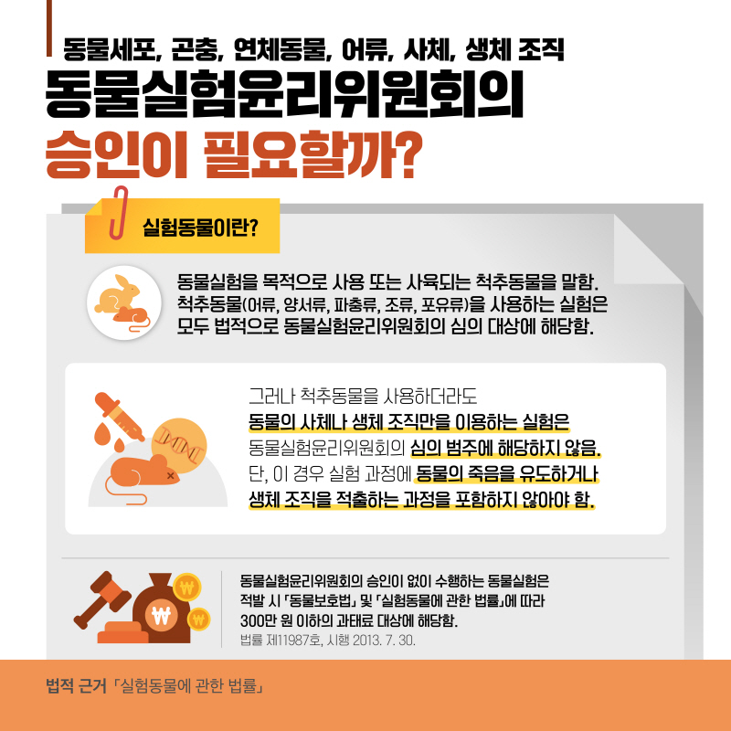 해당파일이미지