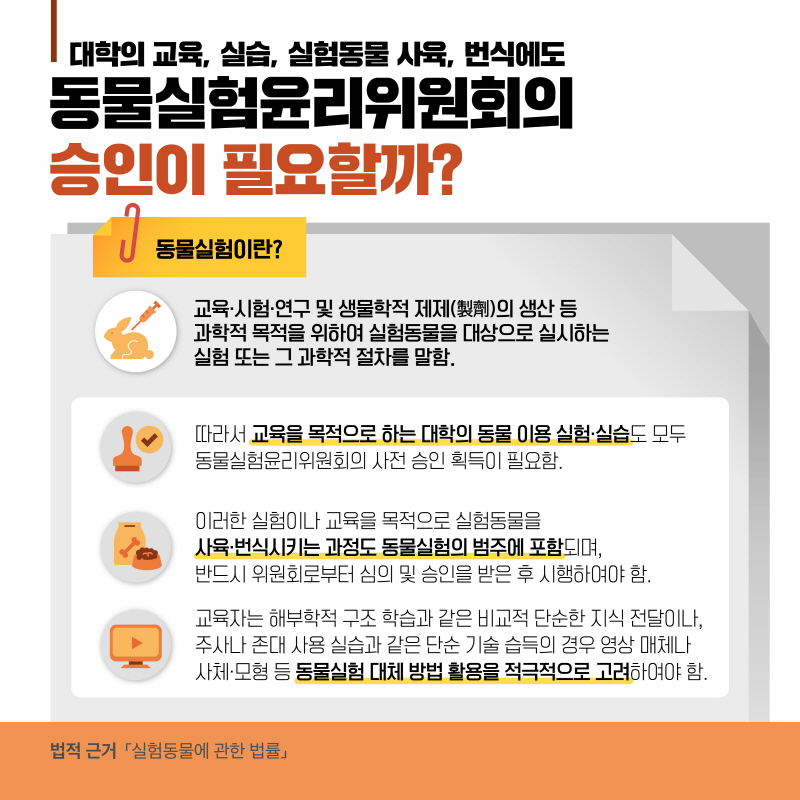 해당파일이미지