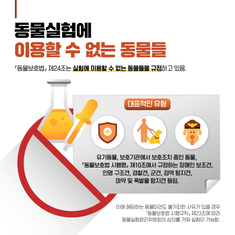 해당파일이미지